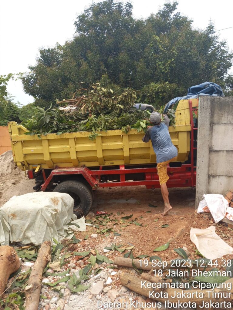 Jasa tebang pohon untuk kebersihan dan keamanan di Turi Sleman