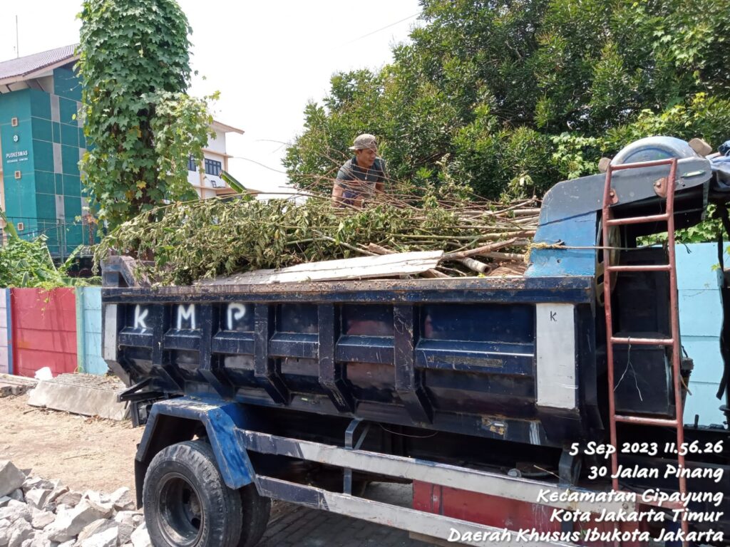 Jasa tebang pohon untuk kebersihan dan keamanan di Turi Sleman