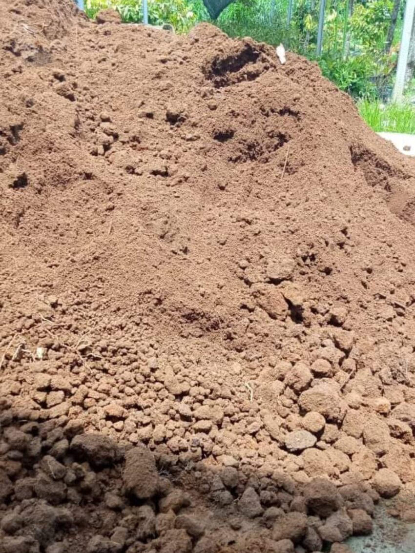 Tanah subur berkualitas di Jogja siap kirim, cocok untuk taman, kebun, dan pertanian — hubungi 085921402988